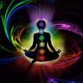 lauren laurent