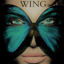 Astro Wing