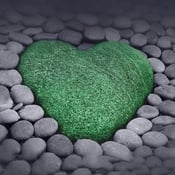 Green Guided Tarot