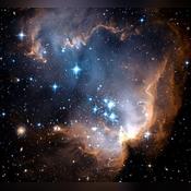 Astrology readings Leslie Hale